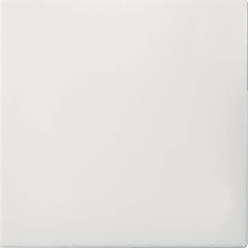 Wippe Universaltaster reinweiss 273604 Wippe Universaltaster reinweiss 273604