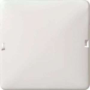 Zentralplatte blind pw 503020