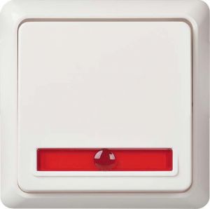 Wechselkontrollschalter 10A rw 501624