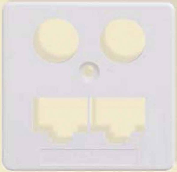 Zentralplatte HW-ZP EK1 LAN/LAN 50mm rws Zentralplatte HW-ZP EK1 LAN/LAN 50mm rws
