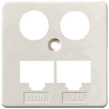 Zentralplatte HW-ZP EK2 LAN/ISDN Zentral 50mm rws Zentralplatte HW-ZP EK2 LAN/ISDN Zentral 50mm rws