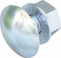Flachrundschraube FRSB 6X12 F