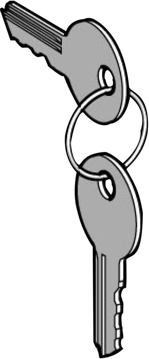 Ersatzschlüssel ZBG455 Ersatzschlüssel ZBG455