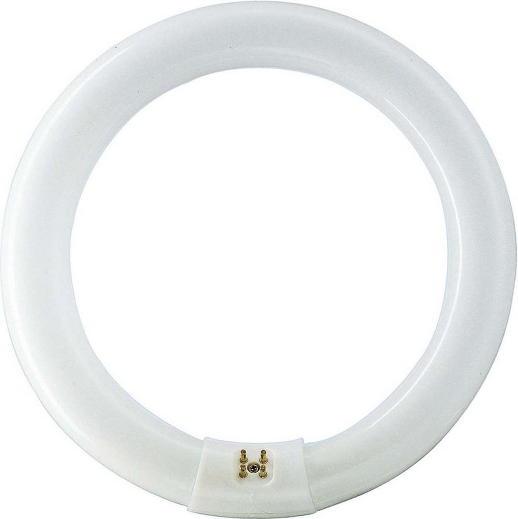 MASTER TL-E 22W/865 Leuchtstofflampe Ringform 22W/865 84053700