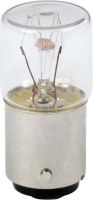 Glühlampe DL1BEBS
