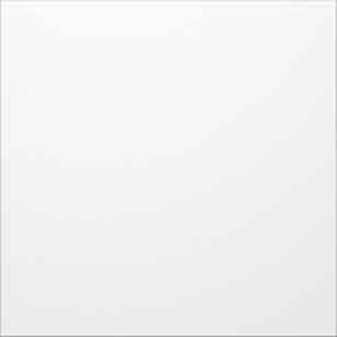 Portier Blindmodul si 1 8766/20 Portier Blindmodul si 1 8766/20