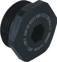 Verschlussschraube 8841.25