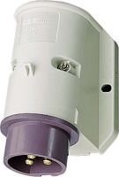 Wandstecker 1955