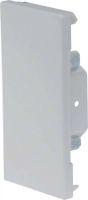 Endplatte BRS 651306 lgr