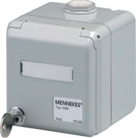 Datendose Cepex 4300