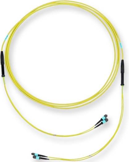 LWL-Trunkkabel Edge XB G909024GLZ88U030M LWL-Trunkkabel Edge XB G909024GLZ88U030M