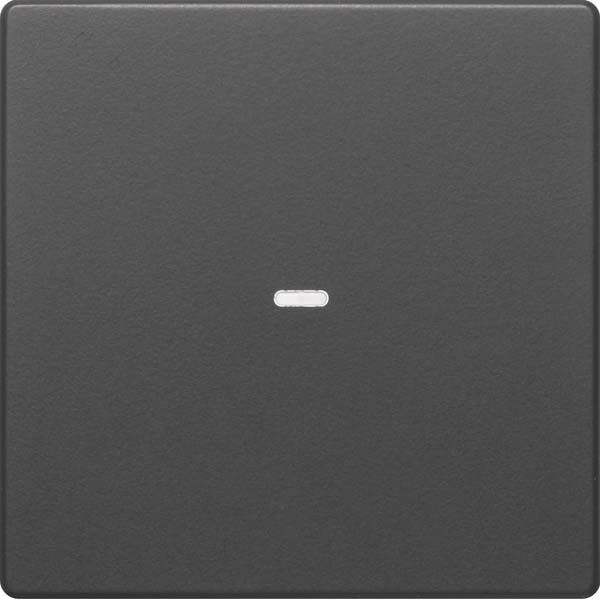 Tast-Abdeckung 1f. anth 80960226 Tast-Abdeckung 1f. anth 80960226