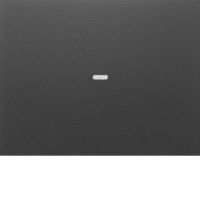 Tast-Abdeckung 1f. anth 80960275