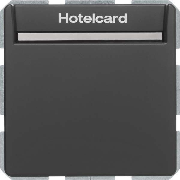 Relais-Schalter Hotelcard 16406096 anthr samt lackiert Relais-Schalter Hotelcard 16406096 anthr samt lackiert