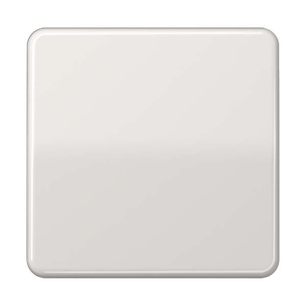Steuertaste Standard CD 1700 LG lichtgrau