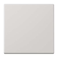Steuertaste Standard LS 1700 LG lichtgrau