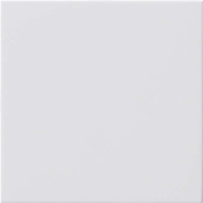 Blindabdeckung rws 810803