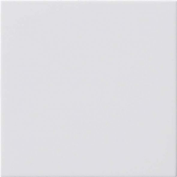 Blindabdeckung rws 810803 Blindabdeckung rws 810803