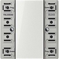 Funk-Wandsender-Modul FM LS 5004 M