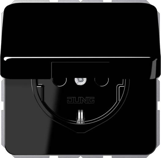 SCHUKO-Steckdose 16 A 250V CD 1520 BFKL SW