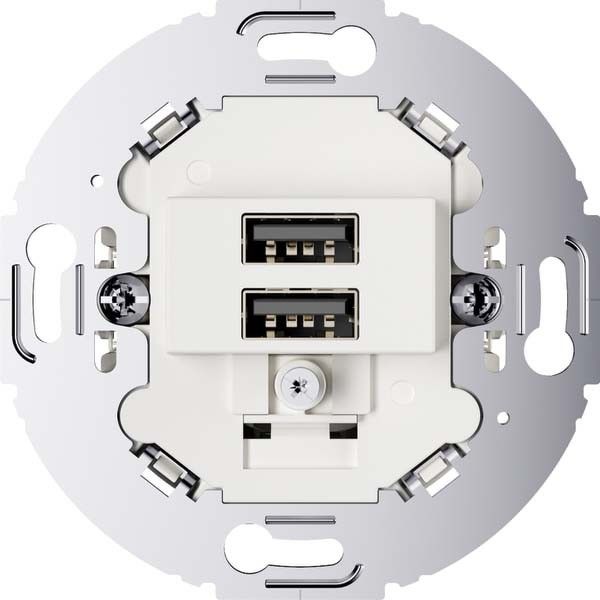 USB Ladesteckdose 260219 polarweiß matt USB Ladesteckdose 260219 polarweiß matt