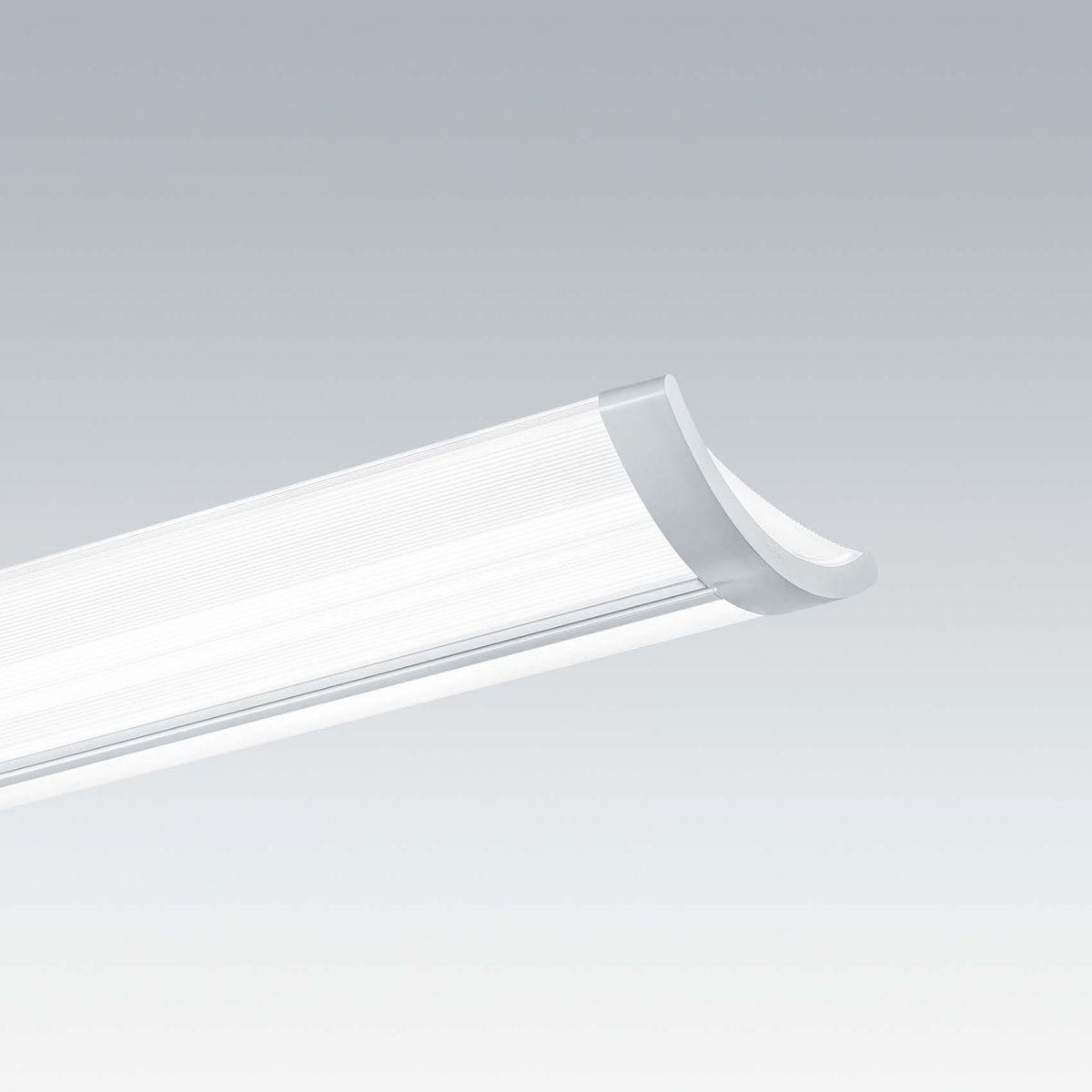 LED-Anbauleuchte IQ SURF L  #96629309