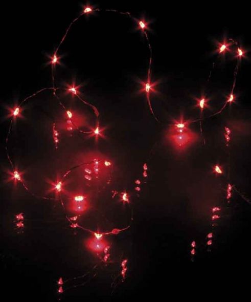 LED-Lichterkette 20-tlg. 570755 LED-Lichterkette 20-tlg. 570755