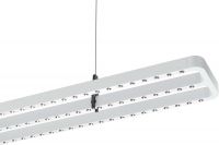 LED-Pendelleuchte 8726441869410