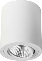 LED-Deckenanbauleuchte 12063173