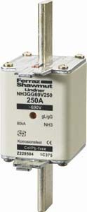 NH-Sicherungseinsatz NH3GG69V250