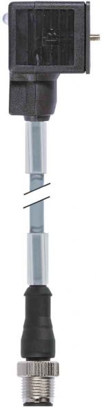 Rundsteckverbinder 7000-40881-2260060 Rundsteckverbinder 7000-40881-2260060
