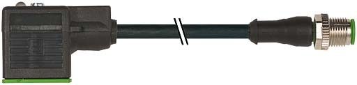 M12 Stecker gerade 7000-40881-6360100 M12 Stecker gerade 7000-40881-6360100