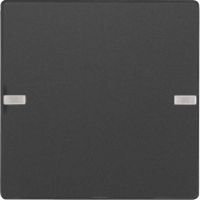 Tastsensor 1f. anthr/samt 80141326