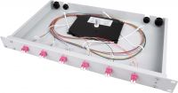 Spleißbox bestückt TNSB-Be-24LCD-50-OM4