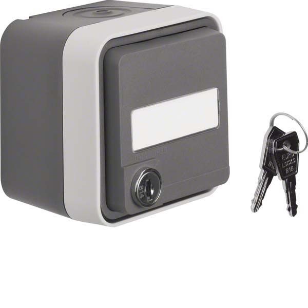 SCHUKO-Steckdose 47393505 grau/lichtgrau matt SCHUKO-Steckdose 47393505 grau/lichtgrau matt