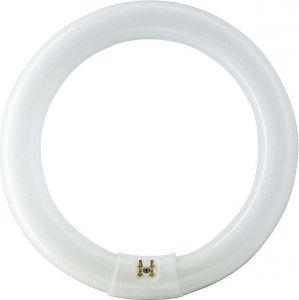 MASTER TL-E 32W/865 Leuchtstofflampe Ringform 32W/865 84055100