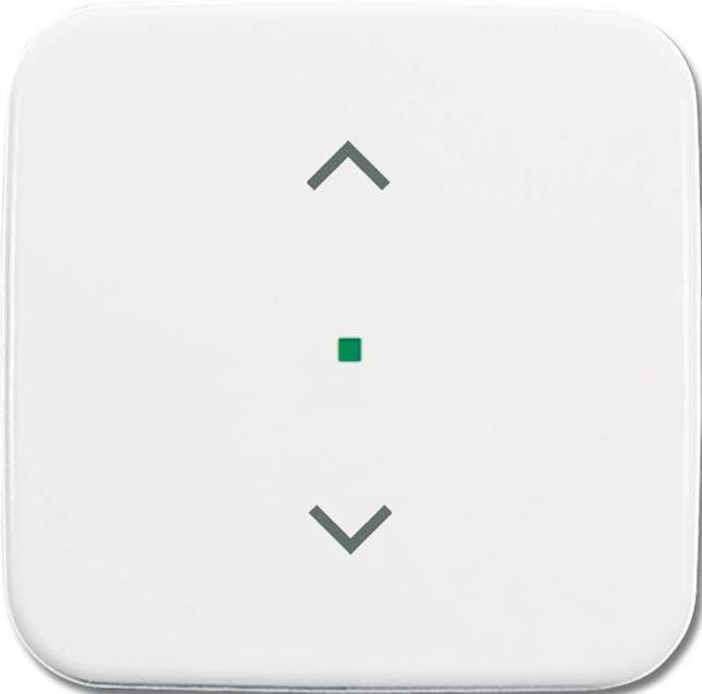 Wippe 1-fach, Symbol Licht 6232-10-214 Wippe 1-fach, Symbol Licht 6232-10-214