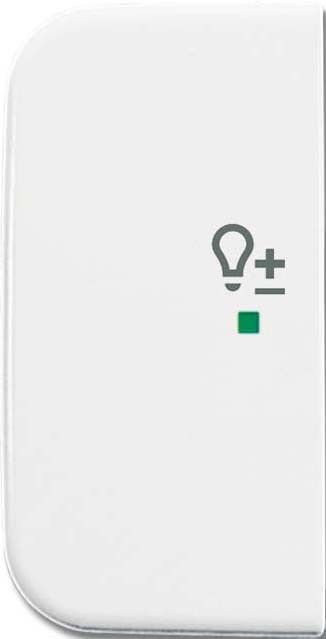 Wippe 1-fach, Symbol Licht 6234-21-214 Wippe 1-fach, Symbol Licht 6234-21-214