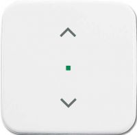 Wippe 1-fach, Symbol Licht 6232-10-214