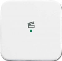 Wippe 1-fach, Symbol Licht 6233-10-214