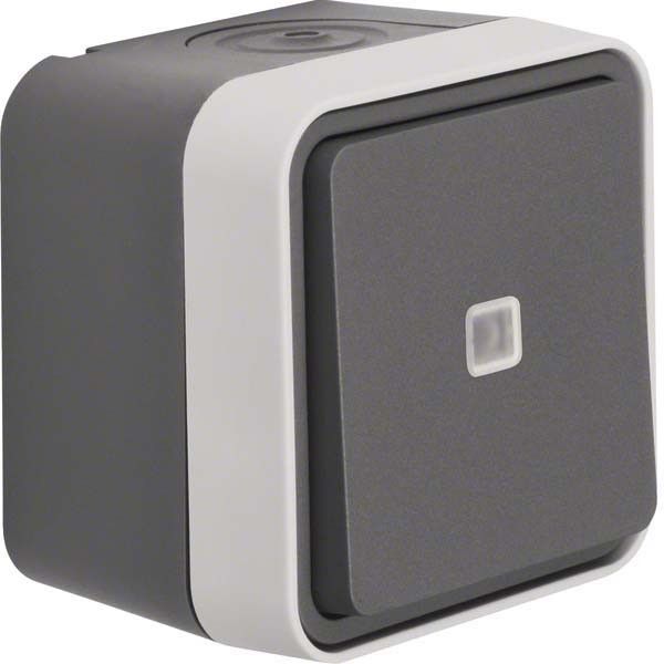 Wechselschalter 30763525 grau/lichtgrau matt Wechselschalter 30763525 grau/lichtgrau matt
