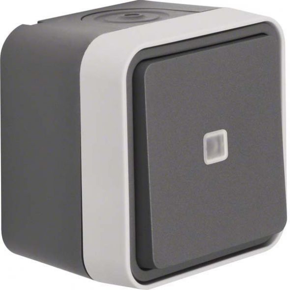 Wechselschalter 30763525 grau/lichtgrau matt Wechselschalter 30763525 grau/lichtgrau matt