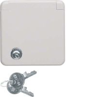 Steckdose 4212 grau glänzend