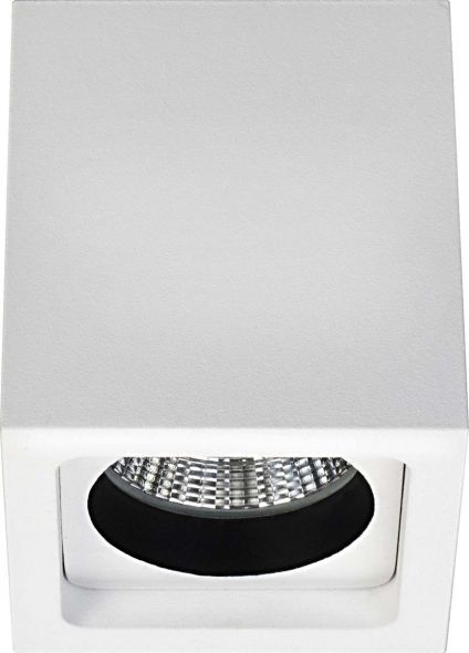 LED-Aufbaudownlight alu/ws 12076173 LED-Aufbaudownlight alu/ws 12076173