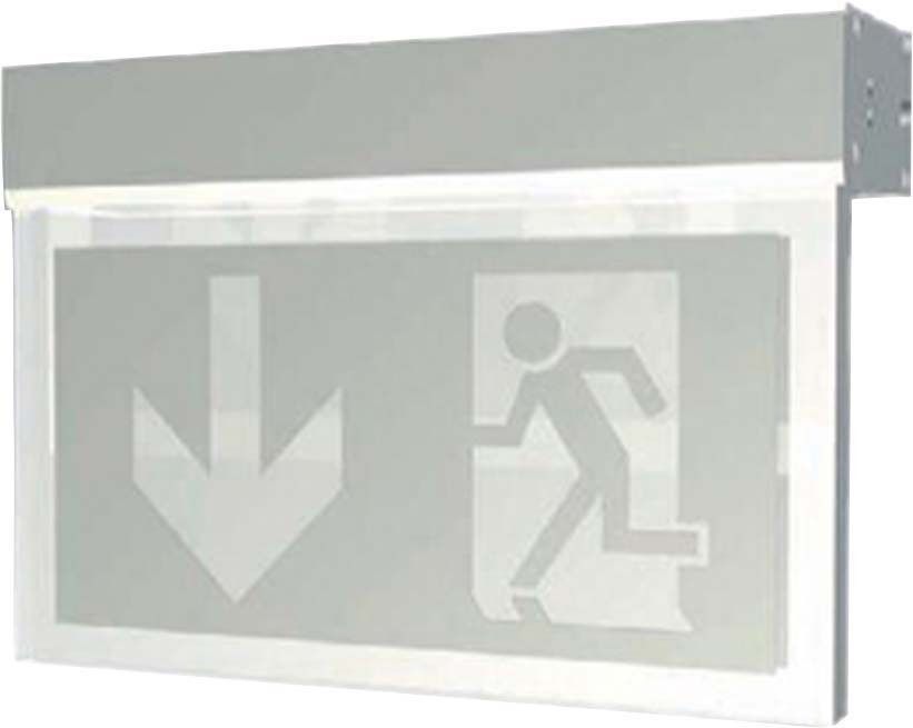 ECO-LED-Sicherheitsleuchte 54108