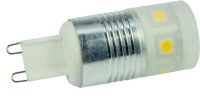 LED-Leuchtmittel 30531
