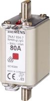 NH-Sicherung NH00 100A gL/gG