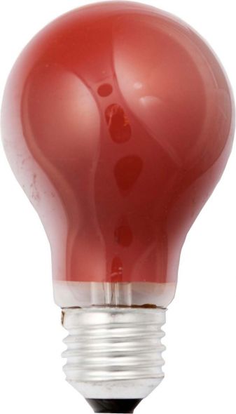 40250 Glühlampe E27 40W rot 40250 Glühlampe E27 40W rot