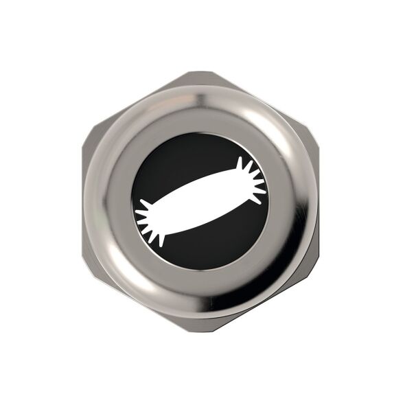 SKINTOP FLAT 53119379 SKINTOP FLAT 53119379