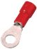 Quetschkabelschuh ICIQ16